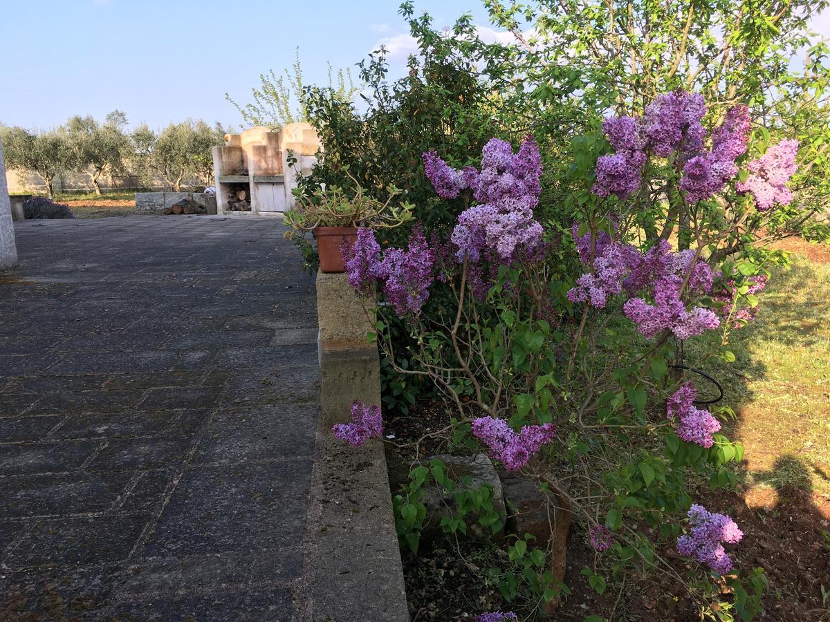 Corte Dei Salentini การ์ปิญาโน ซาเลนติโน ภายนอก รูปภาพ